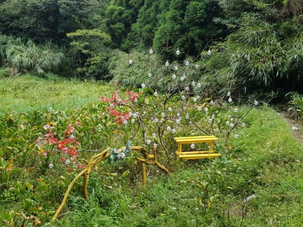 水車寮繡球花1089155