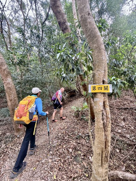 大漢林道登山趣(力里山.具馬奴山.崁頭窩山)  2026.3.283028040