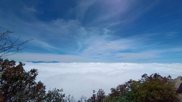 鳶嘴山美呆了~滿滿的雲海~1884276