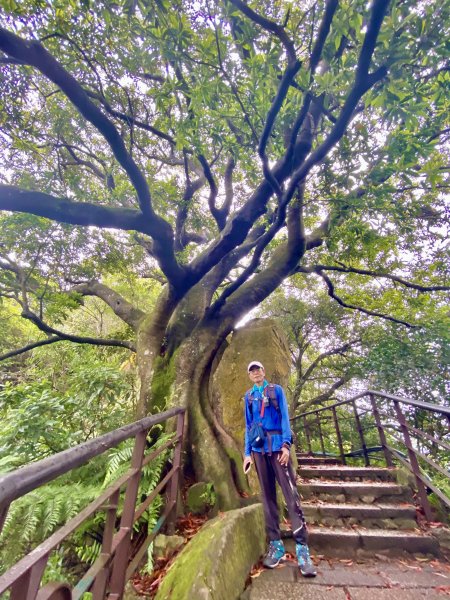 象山親山步道&雨中的鼻頭角步道    2021/4/101344431