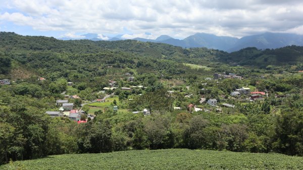 澀水森林步道登山健行趣(步道)2259794