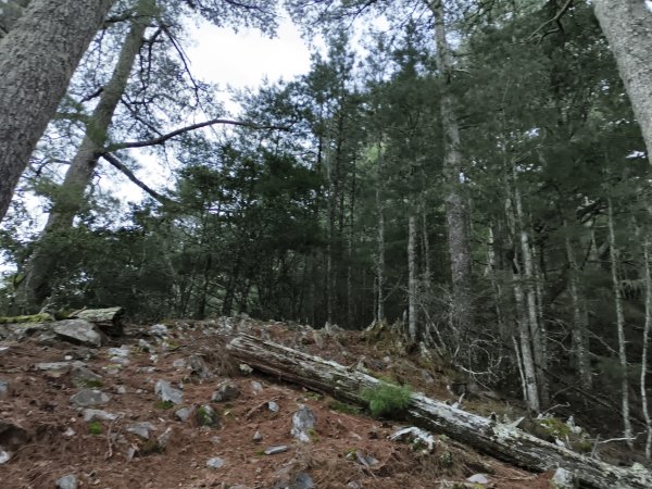 北一段(05/14)南湖南峰 2025_0906~132886497