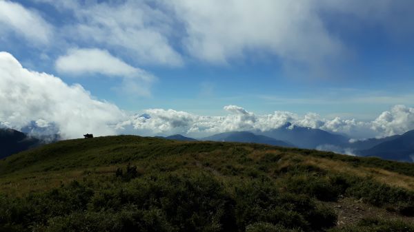 秋高氣爽合歡西北峰單攻行