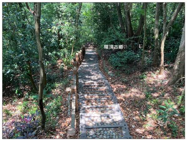 南投台、隴頂古道、員林廣天宮、員林神社 連走3112715
