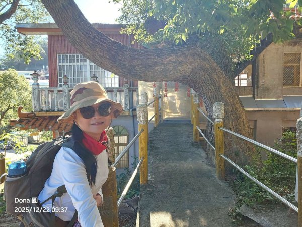 20251222竹東三山步道O型連走(樹杞林山、新具庄山、員崠子山)2975760