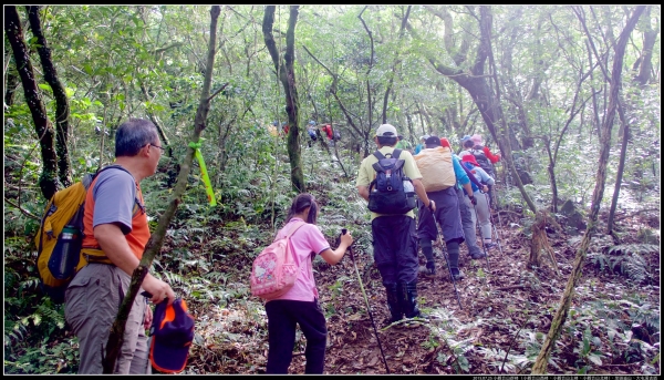 小觀音山群峰、大屯溪古道258604