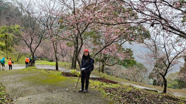 金牌縱走202502082709510