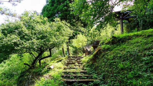 南勢坑小尖,大尖2816037