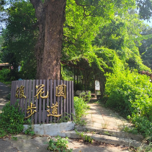 老崎古道（頭份後花園）1764962