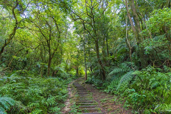 [新北]土庫岳更寮古道2575844