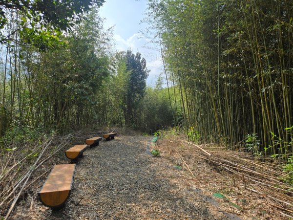 鐘樓古道、獅潭觀魚步道3127296