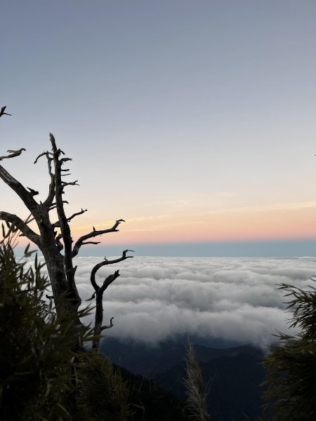 北大武稜線雲海景觀3010140