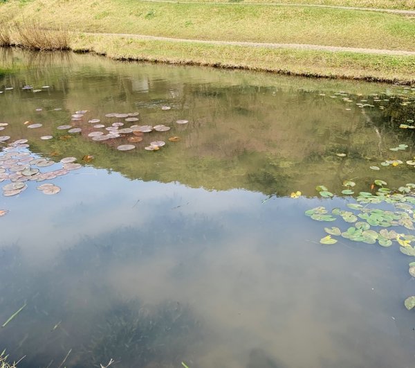 台北大縱走第二段1635040