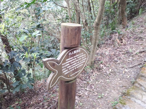 忠勇山鯉魚山親山步道2017.03.22141399