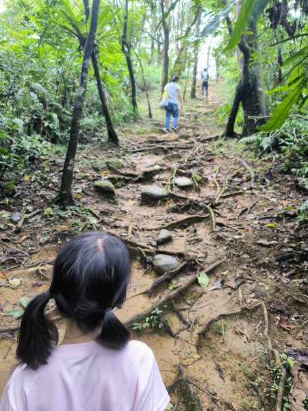 20250927微笑山線：【五分山系】望古瀑布段2896141