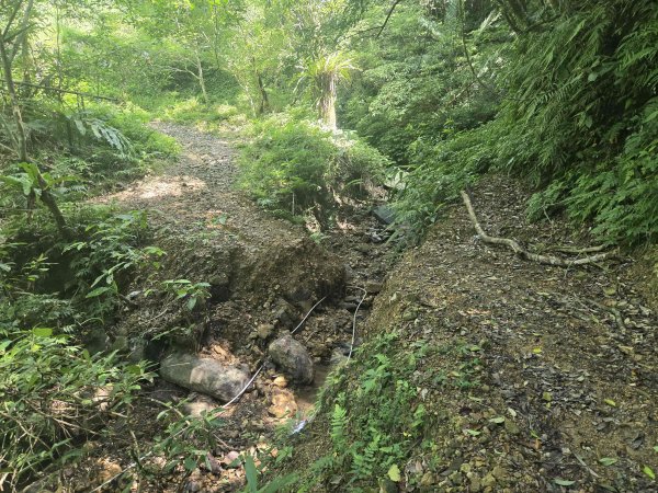 20260709十三股山-塗潭崙-媽祖林步道-永安景觀步道3087103