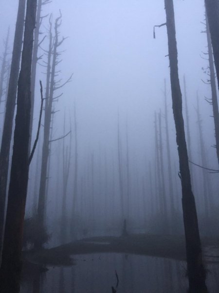 迷霧水漾森林447500