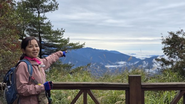 美到爆，觀霧國家森林遊樂區檜山巨木群步道2677775