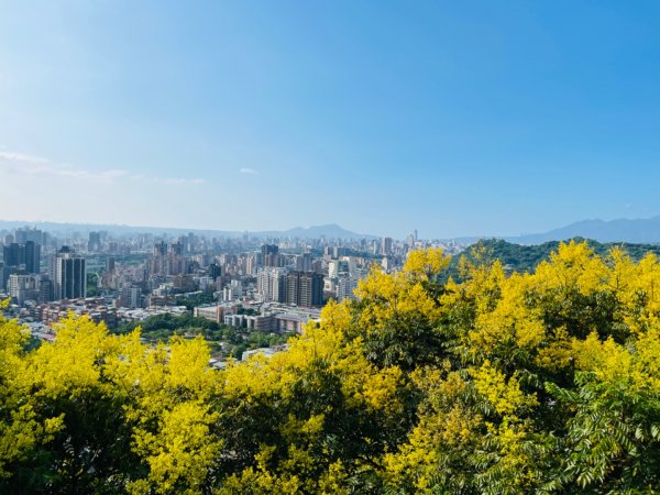 1110906。1001。1105景美山｜仙跡岩步道1862169