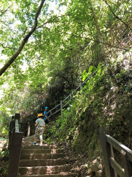 竹坑溪步道（龍宮瀑布、雷音瀑布）339839