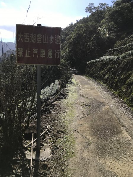 2021.12.11 大舌湖山O型( 漁光國小 漁光派出所 大舌湖步道 粗石斛吊橋)1550776