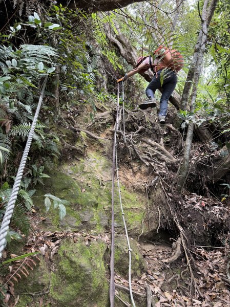 白毛山O繞+臭頭山 202505172791759