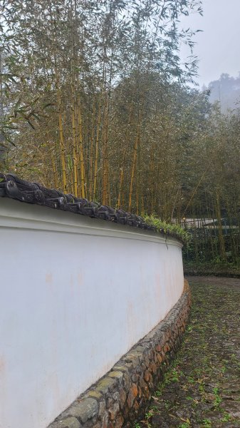 2025-0221 明池步道2718233