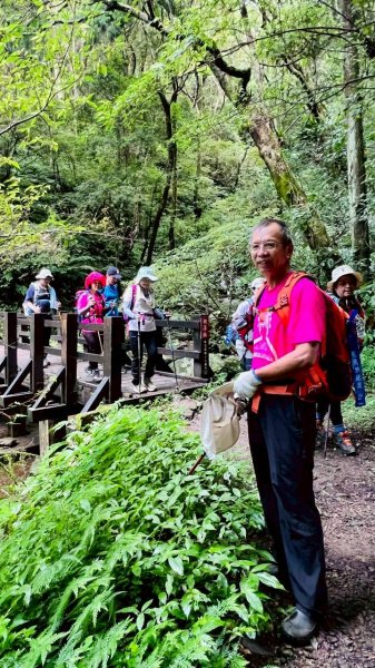 🌈7/5（日）東滿縱走（東眼山~滿月圓）FB：熊熊趴爬走(富裕登山社)🌈3082861