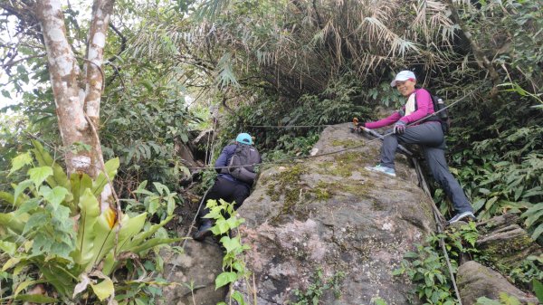 笠頂山單攻西大武山(西北峰) 九星連珠搏命演出歷險記 2025年3月20日2739003
