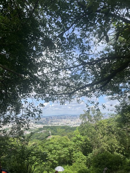 2025/6/22三汀山2845988