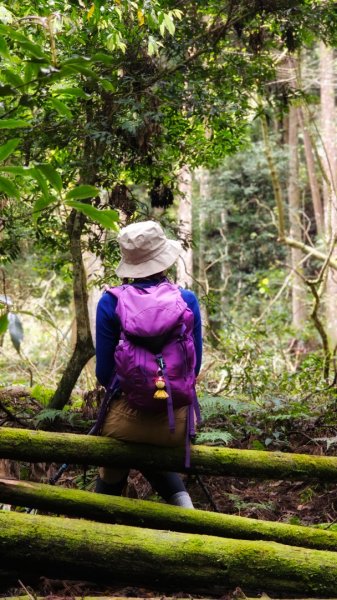 112.04.08 油羅山2123574