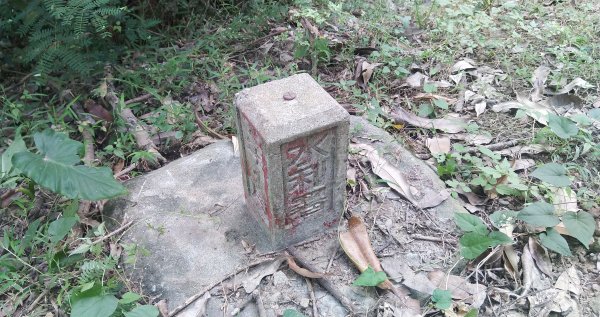 20211002_三汀山1475935