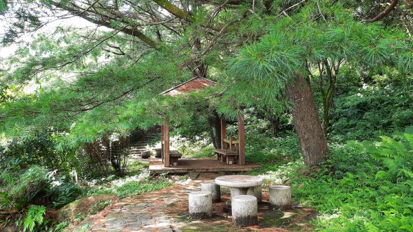 《新竹》石階古道｜橫山大崎棟古道O繞上大山背山202308252261594