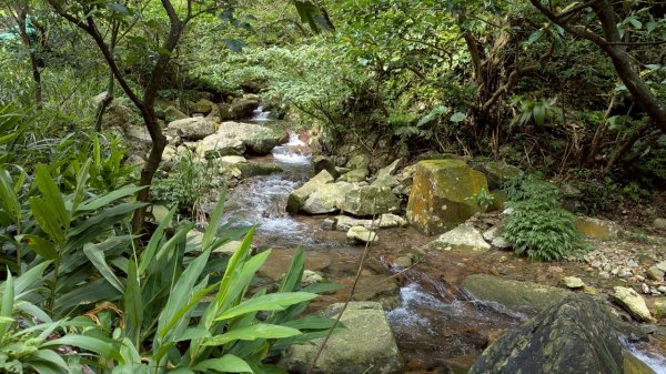 114.05.30大粗坑古道-金瓜石山-小粗坑山之旅2799433