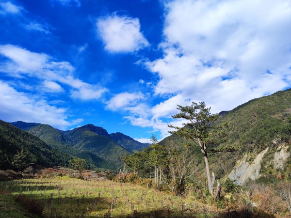 1/1元旦雪主東2681430