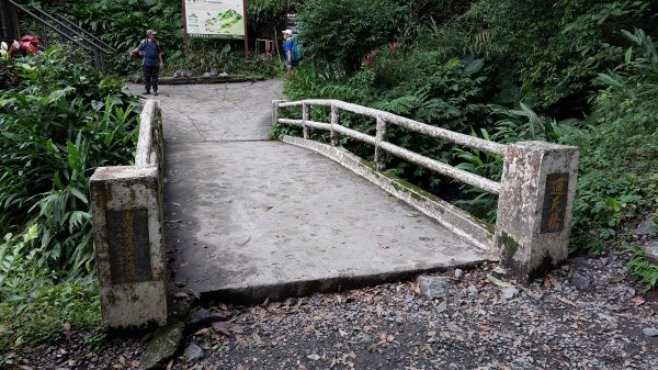 20221119-聖母登山步道（抹茶山）1929490