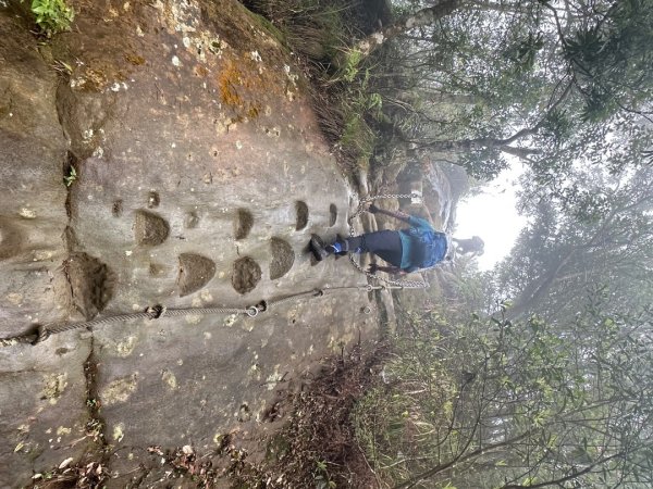 皇帝殿202603293035840