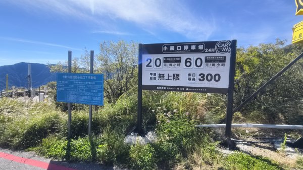 合歡山北峰 小溪營地 鷹角石 合歡北峰名樹2903393