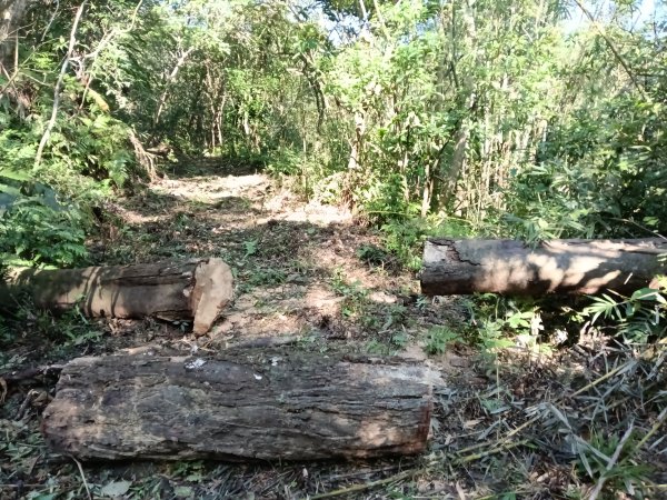 雙溪區大平林山+后番子坑古厝+后番子坑山+武山煤礦事務所+焦炭窯O型2988523