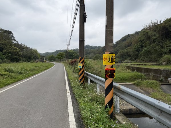 [樟之細路_第二大段RSA17] 2026_0328 飛鳳古道3026056