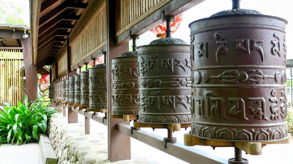 北后寺。關稅戰2758746