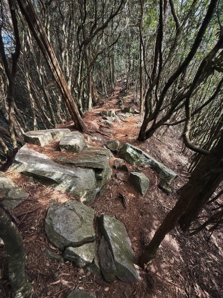 鳶嘴山上的瘦稜2983873