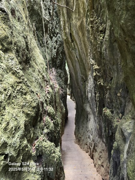 2025-05-31墾丁國家森林遊樂區步道群封面
