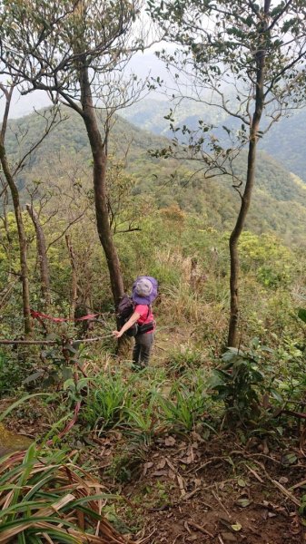 胡桶古道、梳妝樓山Ｏ走2461576