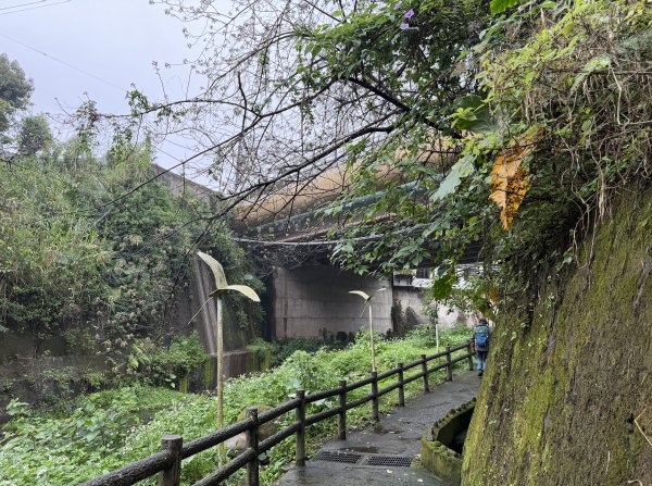 [樟之細路_第一大段RSA01] 2026_0329 清水坑溪景觀3026600