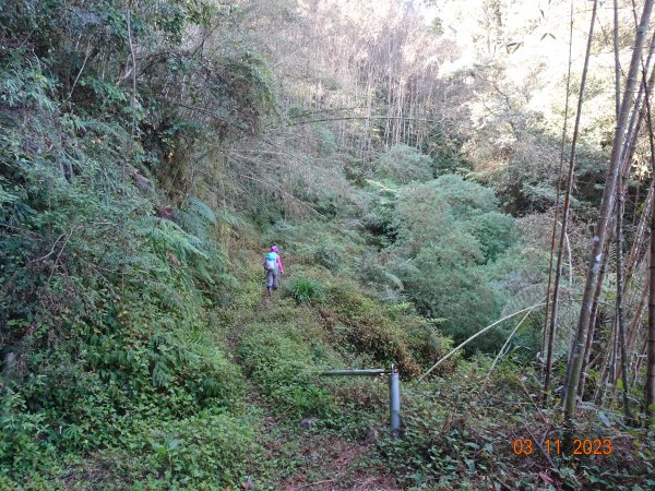 東草山脈脈山稜線縱走2065090