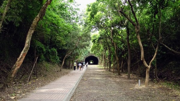 崎頂子母隧道,南十八尖山2191109