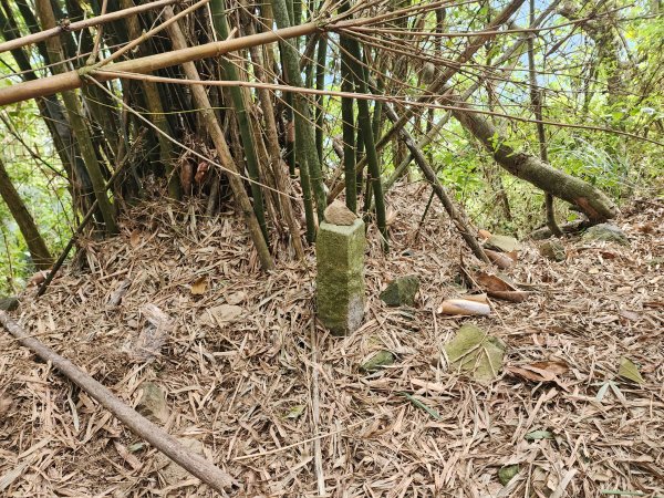 20241222二載山與大橫屏山南峰(追加鹽菜甕山、鹽菜甕下山)2721537