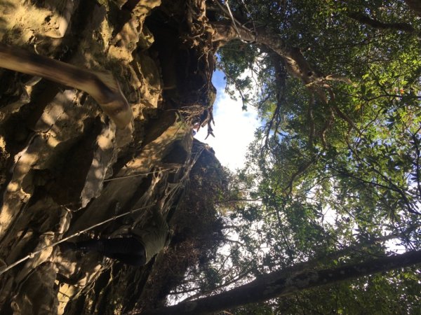 仙山（靈洞宮、協靈宮2723196