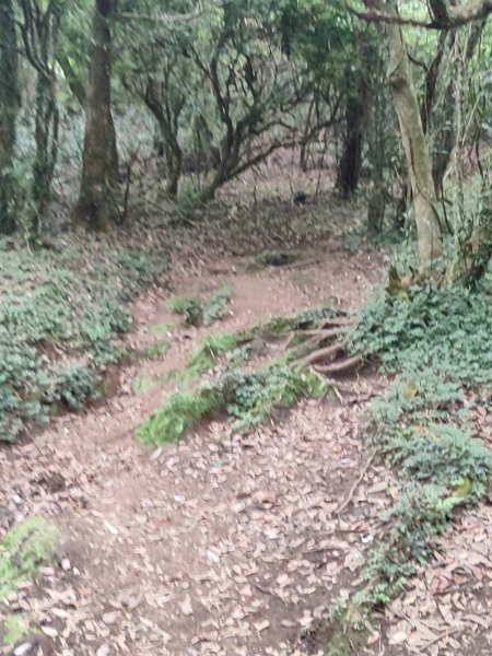 臺北大縱走第二段：二子坪至小油坑2827683